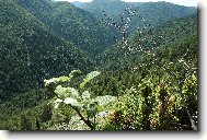 Slovensk� r�j