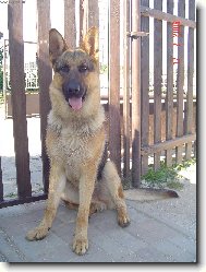 Zkr�tka fe��k..