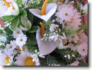 n� velk� den