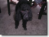 Ben�k