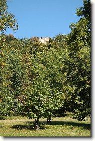 Hrad v d�li