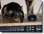 J� a my�