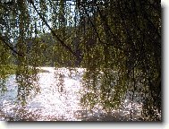 s�zava