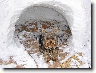 Toto je pros�m m� zlobiv� mali�kost