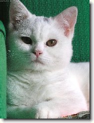 Portr�t