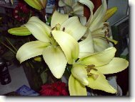 Dnes u�ezan�