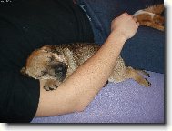 odpoledn� siesta