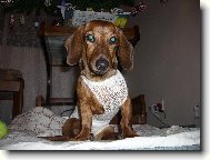 Tak u� fo�!!!