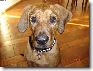 Toto von�....