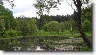 Severn� �echy