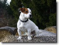 nejlep�� pohled na sv�t je z bal�ku sl�my