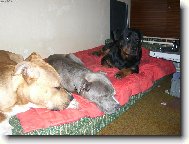 Odpo�inek