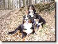 chcete n�s????