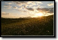 Podve�er