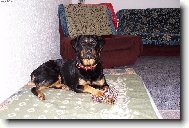 M�ja