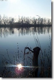 Vodn� hladina