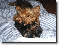 PEGGYNKA+�T�N�TKA
