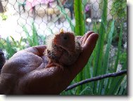 Zaklet� princezna