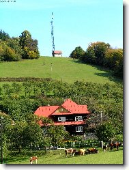 Vala�sk� kr�sa
