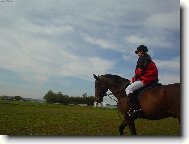 z�vody