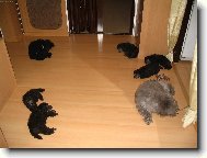 Odpoledn� siesta