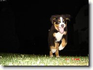 N� mil��ek :)