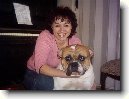 Americk� bulldog