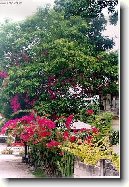 Filip�ny (cestopis)