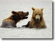 Puzzle on-line