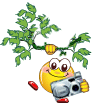 V�ce smajl�k� ke sta�en�