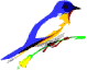 V�ce smajl�k� ke sta�en�