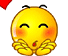 V�ce smajl�k� ke sta�en�
