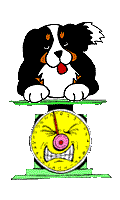 V�ce smajl�k� ke sta�en�