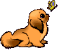 V�ce smajl�k� ke sta�en�