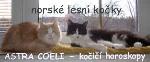 Chovatelska stanice ps�: ASTRA COELI