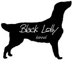 Chovatelska stanice ps�: BLACK LOLLY