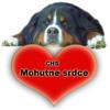 Chovatelska stanice ps�: MOHUTN� SRDCE