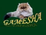 Chovatelska stanice ps�: GAMESHA