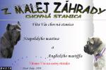 Chovatelska stanice ps�: Z MALEJ Z�HRADY