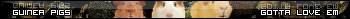 V�ce userbar� ke sta�en�