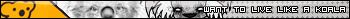 V�ce userbar� ke sta�en�